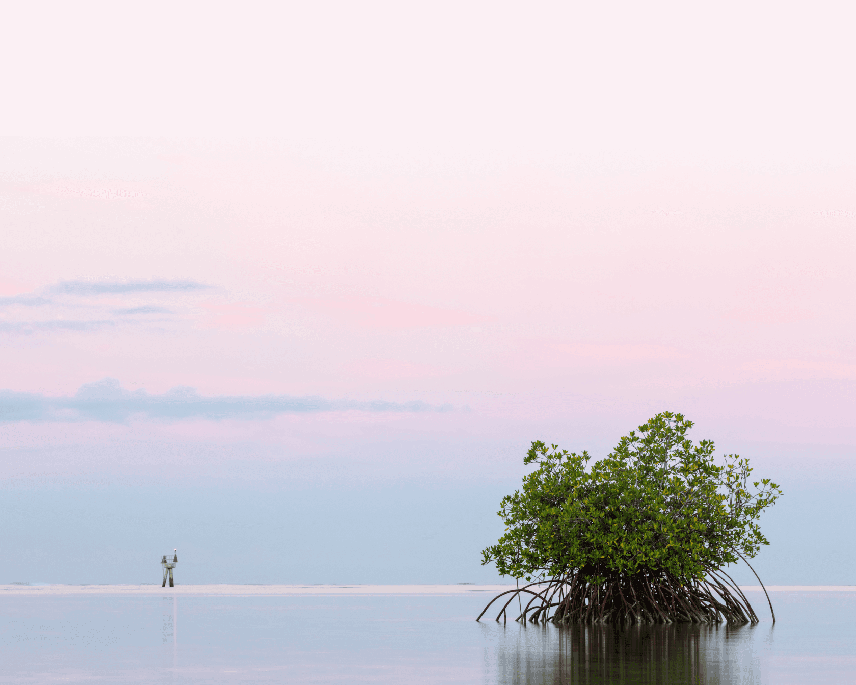 JAS peaceful background